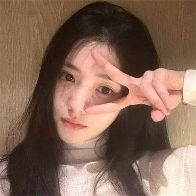 极地爱恋