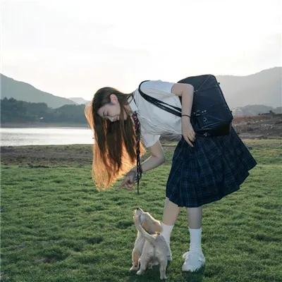 野探哈莉第四季